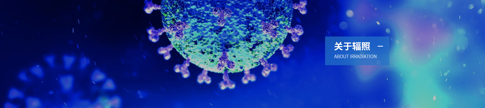 关于辐照 关于辐照